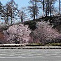 IMG_9134R