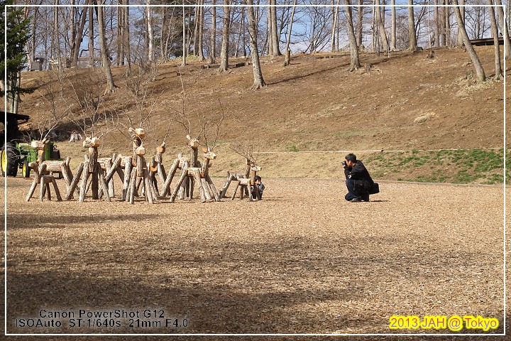 IMG_2634 IMG_2634