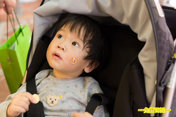 PhotoCap_001 PhotoCap_001