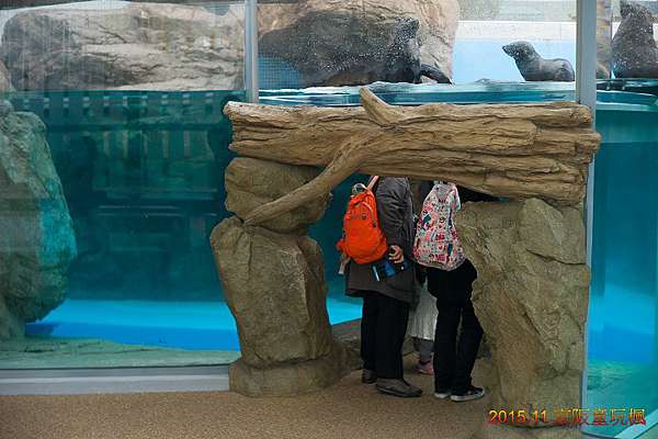 15 關西童玩楓 京都水族館 J 和a 的隨手亂記 痞客邦 15 關西童玩楓 京都水族館 J 和a 的隨手亂記 痞客邦