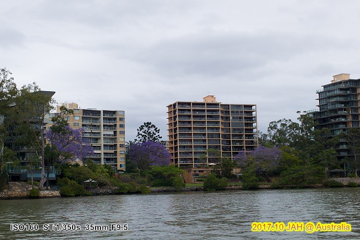 L1027267.jpg L1027267.jpg