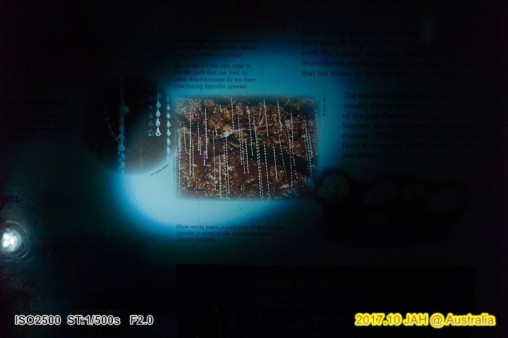 L1027456.jpg L1027456.jpg