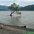 L1028830.jpg