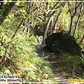 IMG_4979.jpg