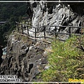 IMG_5009.jpg