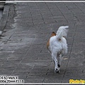 IMG_5074.jpg