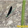 IMG_4974.jpg