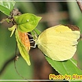 IMG_5013.jpg