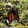 IMG_5043.jpg