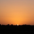 IMG_8129.jpg