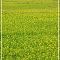 IMG_8086.jpg