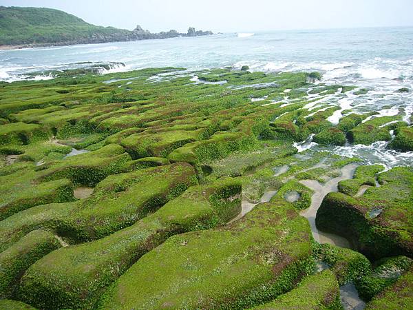 P1060479.JPG P1060479.JPG