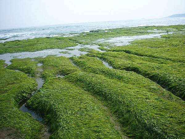 P1060466.JPG P1060466.JPG