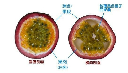 7269708.jpg 7269708.jpg