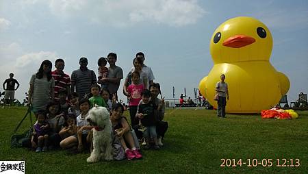 IMG_20141005_121340.jpg