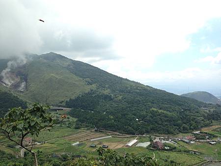 IMG_2958 IMG_2958