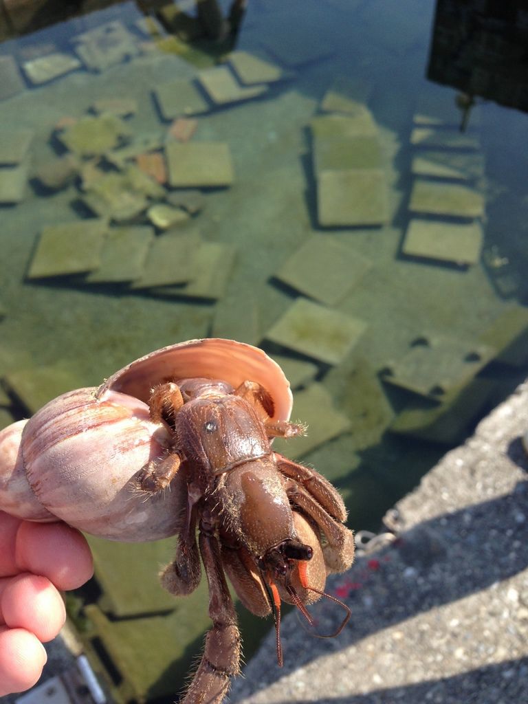 IMG_1902 (960x1280) IMG_1902 (960x1280)