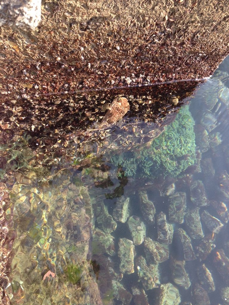 IMG_1897 (960x1280) IMG_1897 (960x1280)