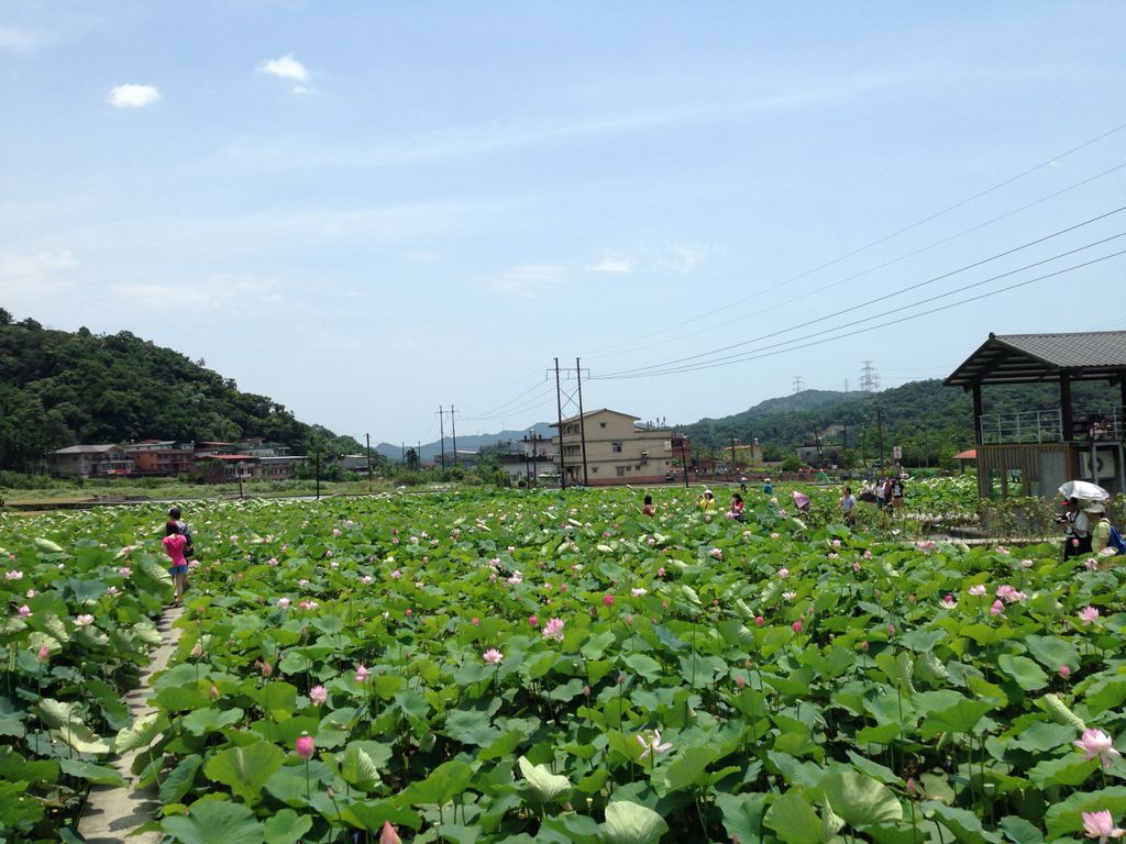 IMG_1937 (1280x960) IMG_1937 (1280x960)