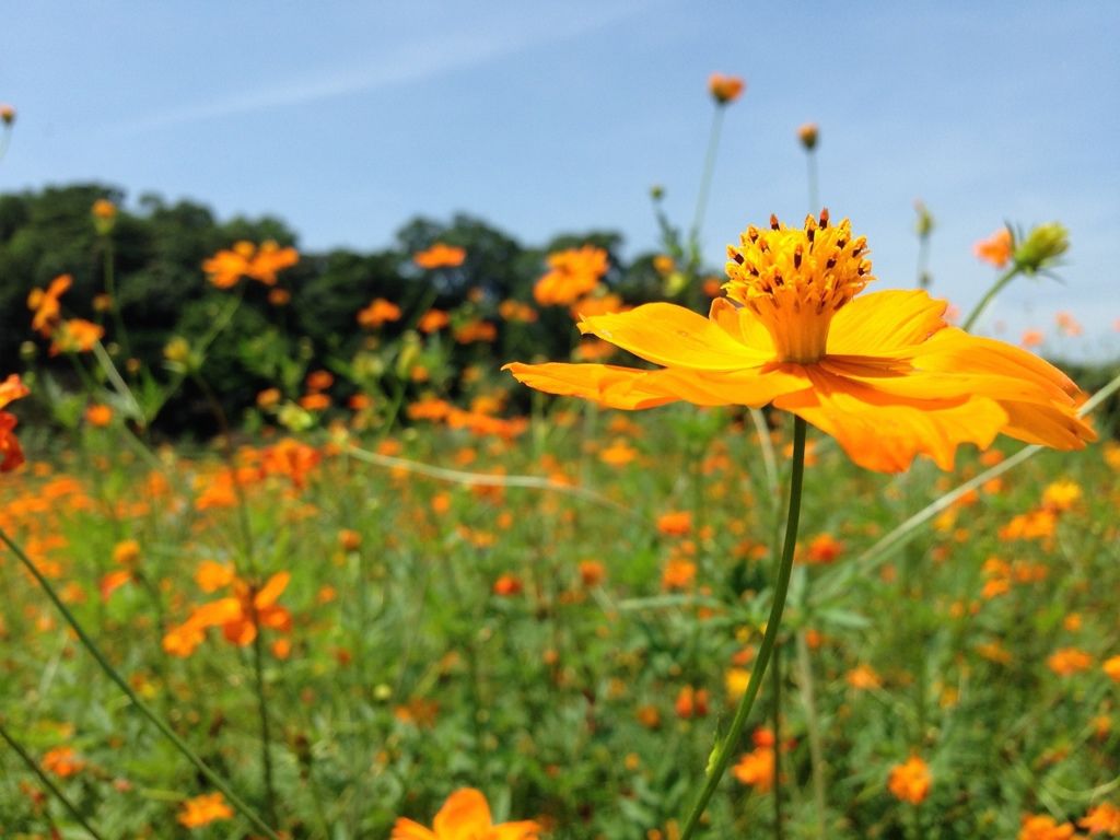 IMG_1933 (1280x960) IMG_1933 (1280x960)