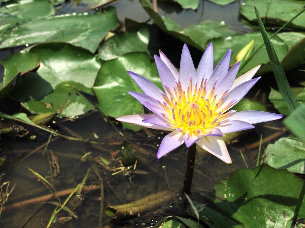 IMG_1939 (1280x960) IMG_1939 (1280x960)