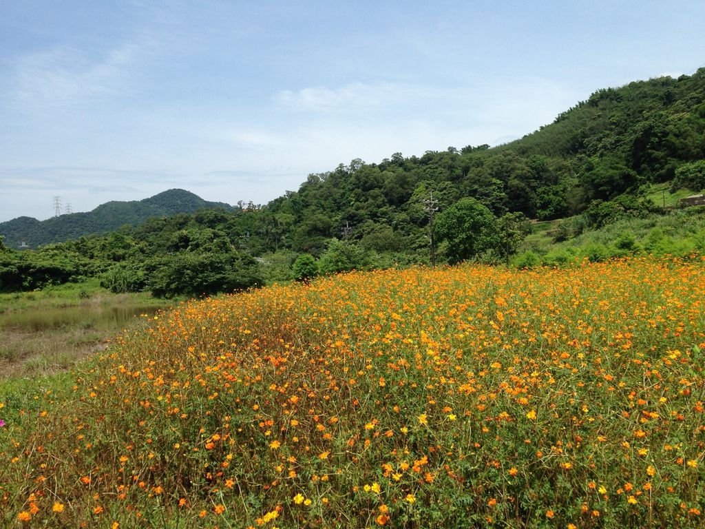 IMG_1928 (1280x960) IMG_1928 (1280x960)