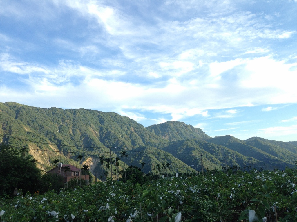 IMG_2072 (1024x768) IMG_2072 (1024x768)