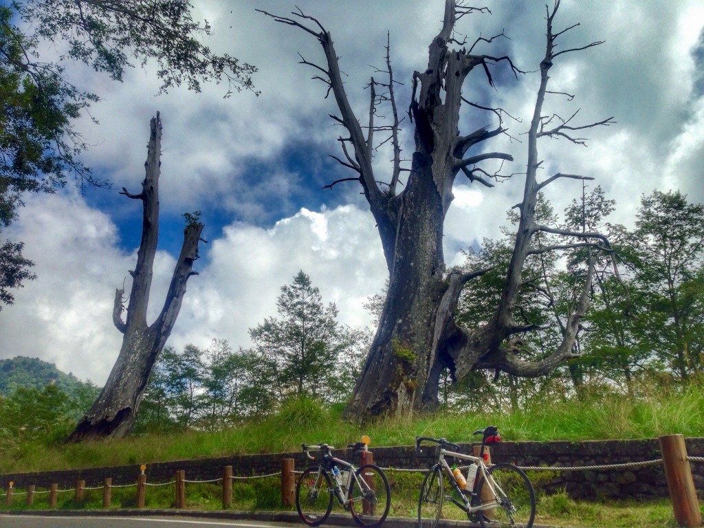 FullSizeRender (1024x768) FullSizeRender (1024x768)