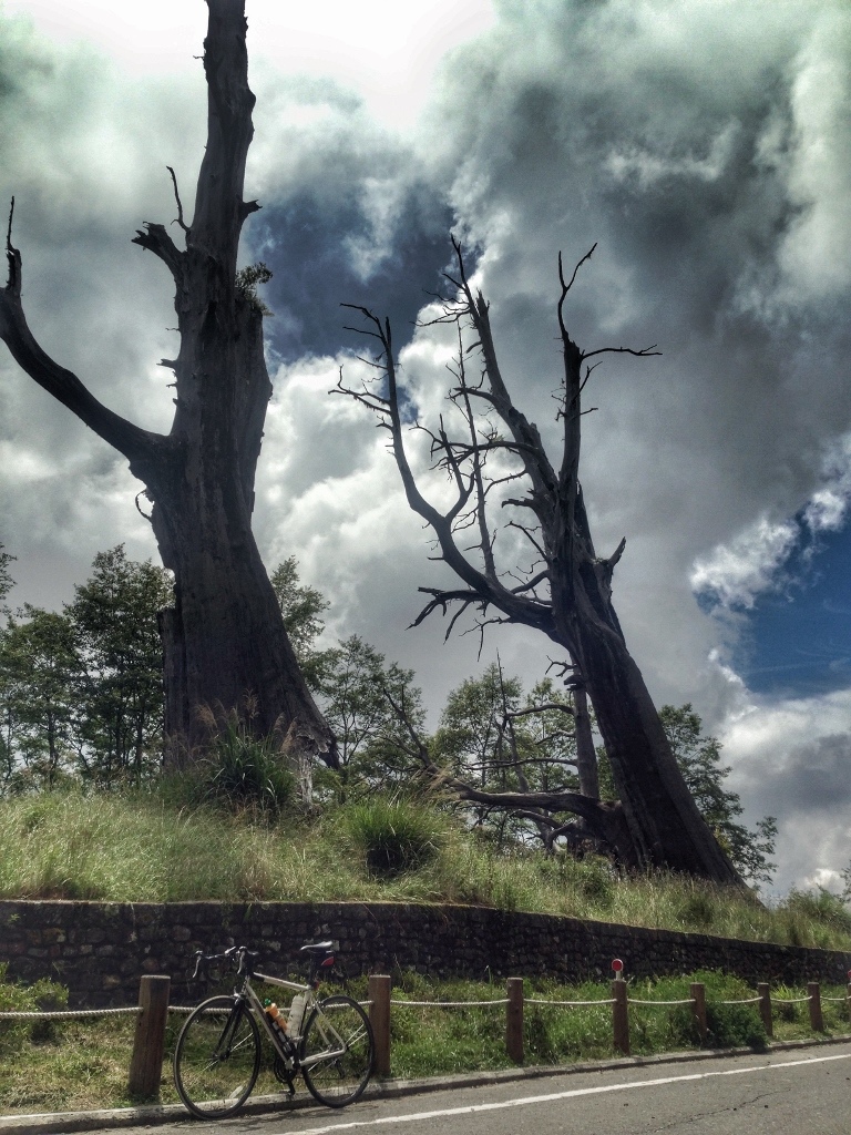 FullSizeRender_1 (768x1024)