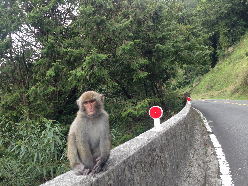 IMG_2119 (1024x768) IMG_2119 (1024x768)