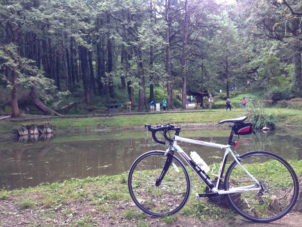 IMG_2150 (1024x768) IMG_2150 (1024x768)