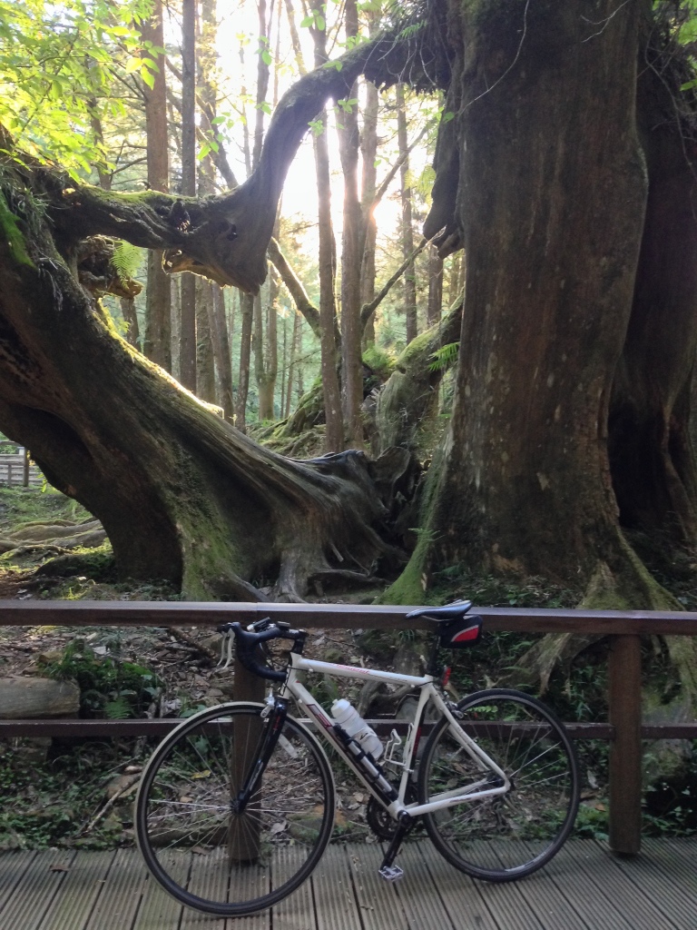 IMG_2162 (768x1024) IMG_2162 (768x1024)