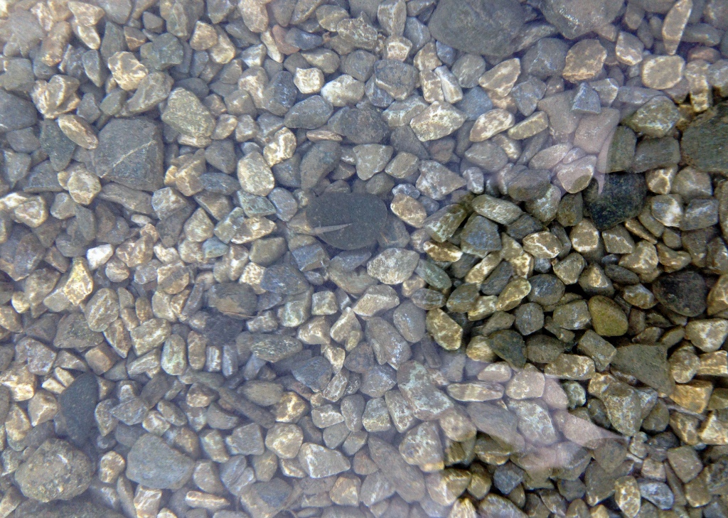 IMG_8566 (1024x729) IMG_8566 (1024x729)