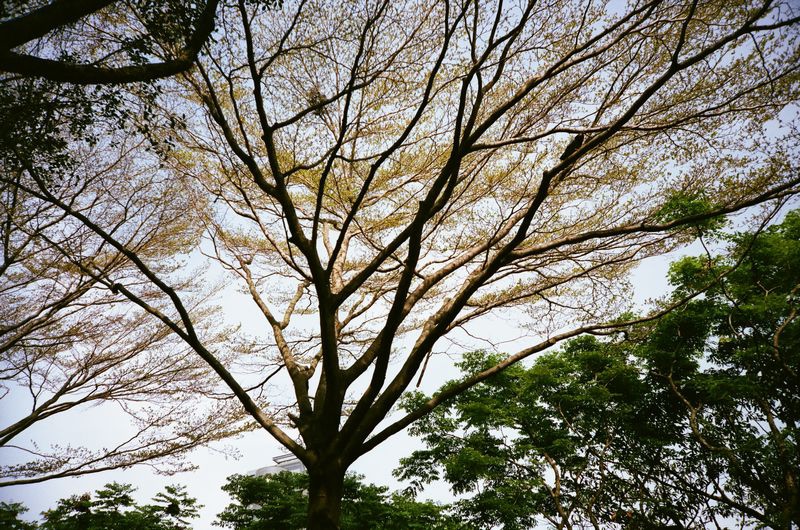 000081670001.jpg 000081670001.jpg