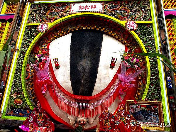 龜山．竹林山寺巡迴媽：神豬羊競技