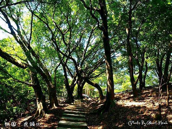 桃園市．虎頭山公園