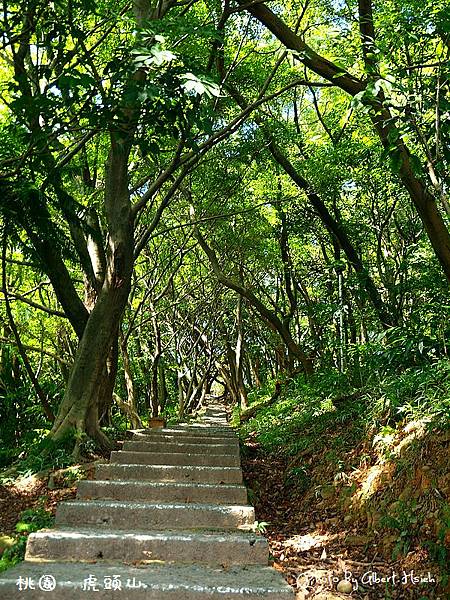 桃園市．虎頭山公園