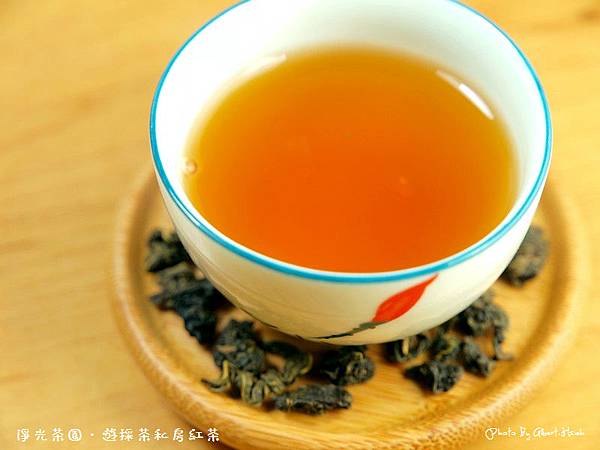 【遊採茶】淨光茶園．私房紅茶