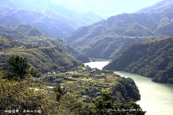 【梅花】桃園復興．角板山