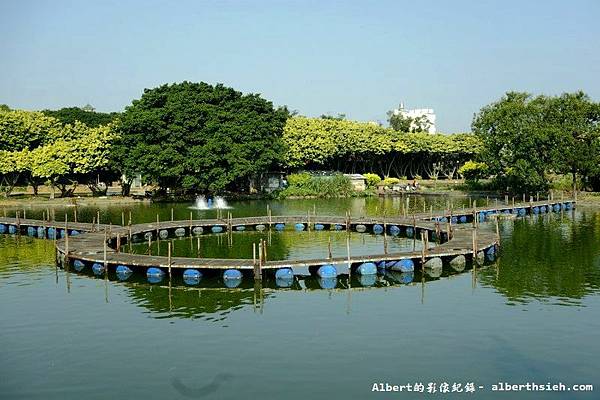 【黃金榕】桃園市．內壢釣魚池