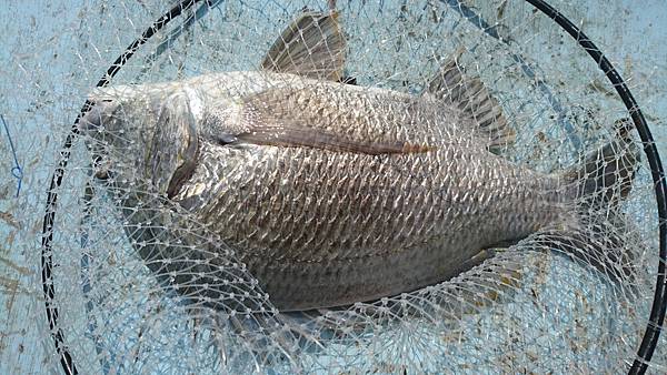 DSC_0536.JPG DSC_0536.JPG