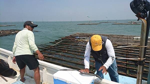 DSC_0537.JPG DSC_0537.JPG