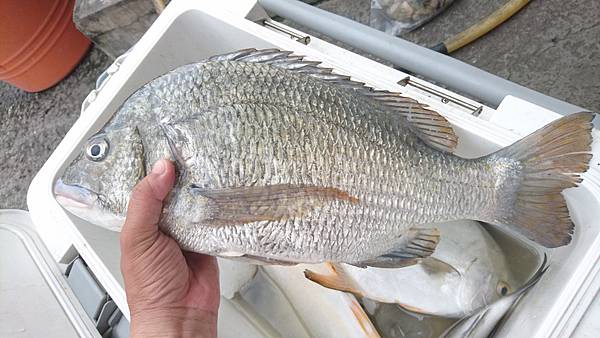 DSC_0546.JPG DSC_0546.JPG