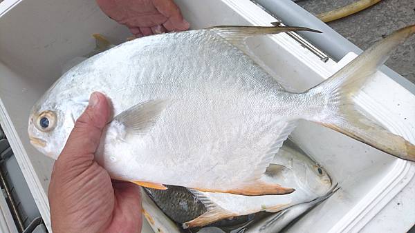 DSC_0547.JPG DSC_0547.JPG