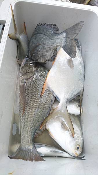 DSC_0548.JPG DSC_0548.JPG