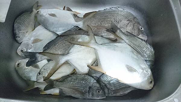 DSC_0554.JPG DSC_0554.JPG