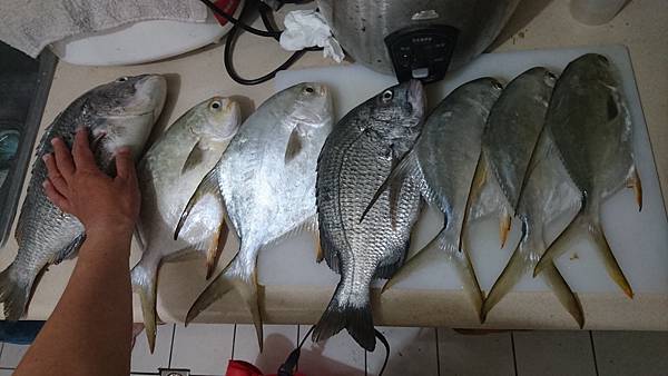 DSC_0556.JPG DSC_0556.JPG