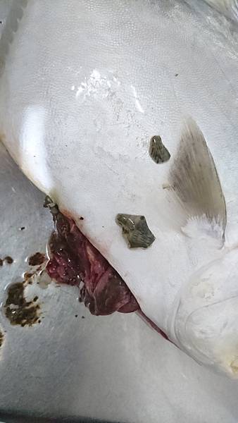 DSC_0560.JPG DSC_0560.JPG