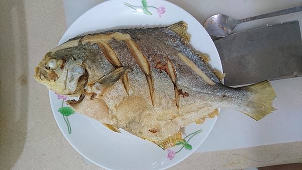 DSC_0562.JPG DSC_0562.JPG