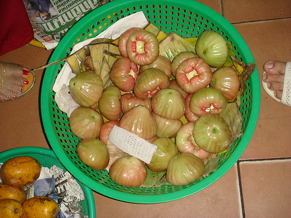 DSC02154.JPG DSC02154.JPG